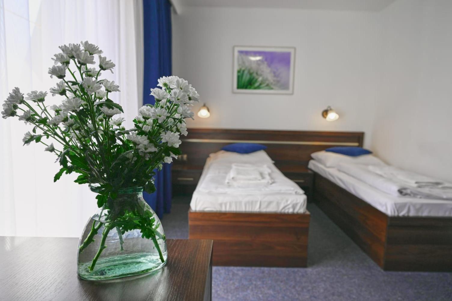 Lazur Wellness@Spa مينزفوجة المظهر الخارجي الصورة